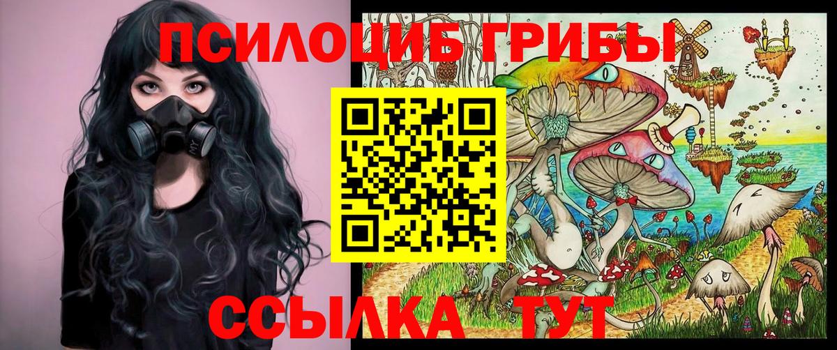 Псилоцибиновые грибы Psilocybine cubensis Грязи