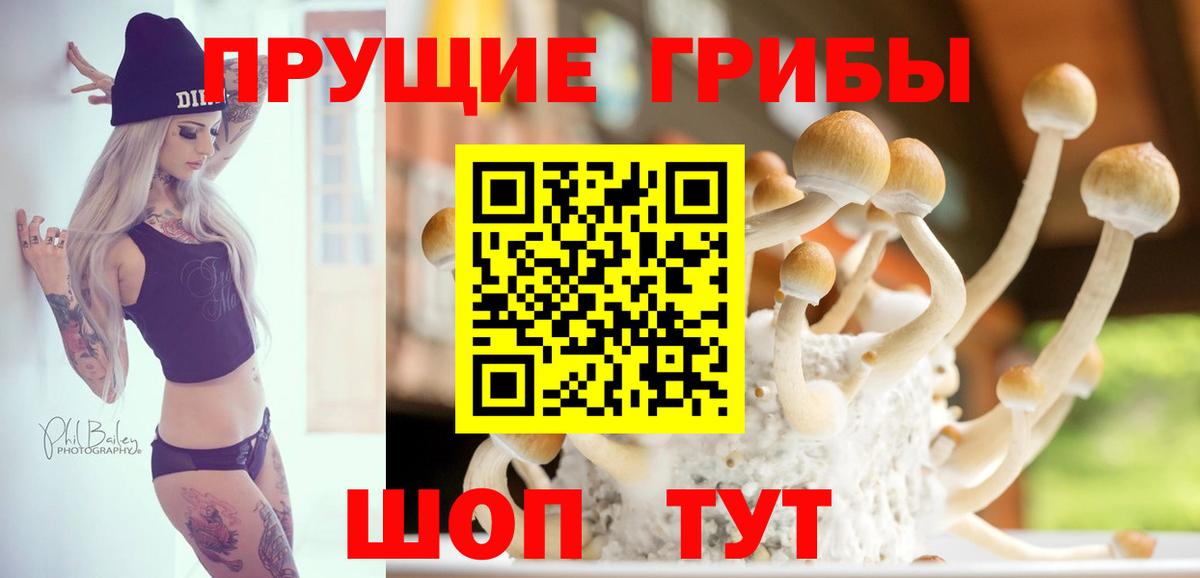 Псилоцибиновые грибы Cubensis  Псилоцибиновые грибы Psilocybine cubensis  Вход с VPN  Грязи 